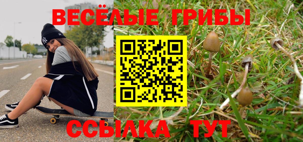 Галлюциногенные грибы MAGIC MUSHROOMS Печора