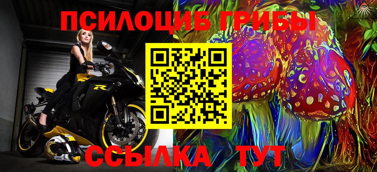 Галлюциногенные грибы Psilocybine cubensis  Вход с VPN  Галлюциногенные грибы мицелий  Печора 